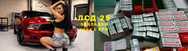 гашик Алексин