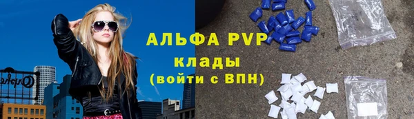 гашик Алексин