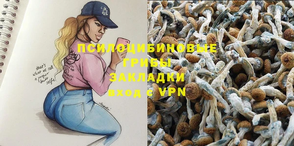 ECSTASY Алексеевка