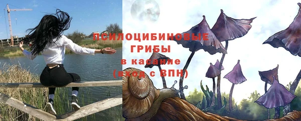 гашик Алексин