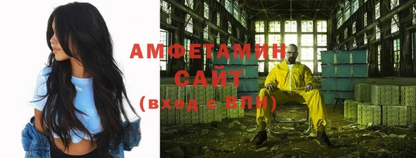 гашик Алексин