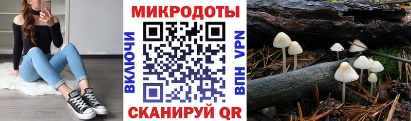 купить наркотик Балаково Псилоцибиновые грибы ЛСД